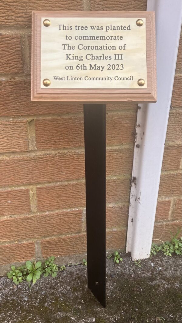 King Charles III Oak plinth, plate and stake